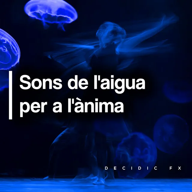 Sons de l'aigua per a l'ànima