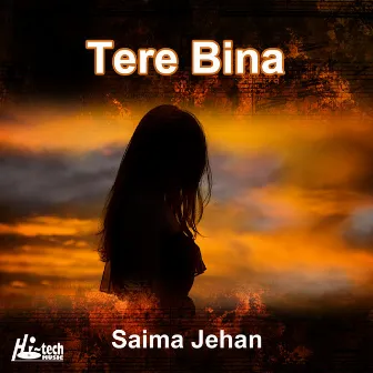 Tere Bina by Saima Jehan