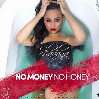 No Money No Honey by Shadaya