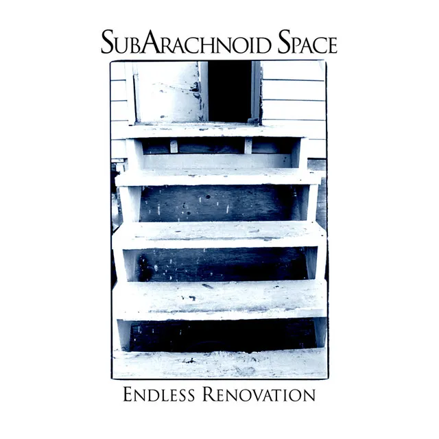 Endless Renovation