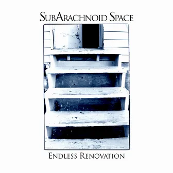 Endless Renovation by SubArachnoid Space