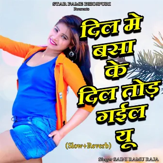 Dil Me Basa Ke Dil Tod Gail Yu (Slow+Reverb) by Saini Ramu Raja