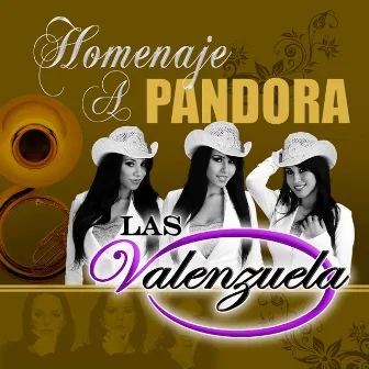 Homenaje a Pandora (Banda) by Las Valenzuela