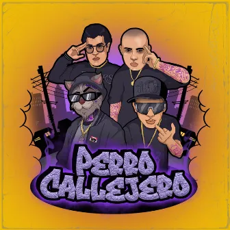 Perro Callejero by Cifra BV