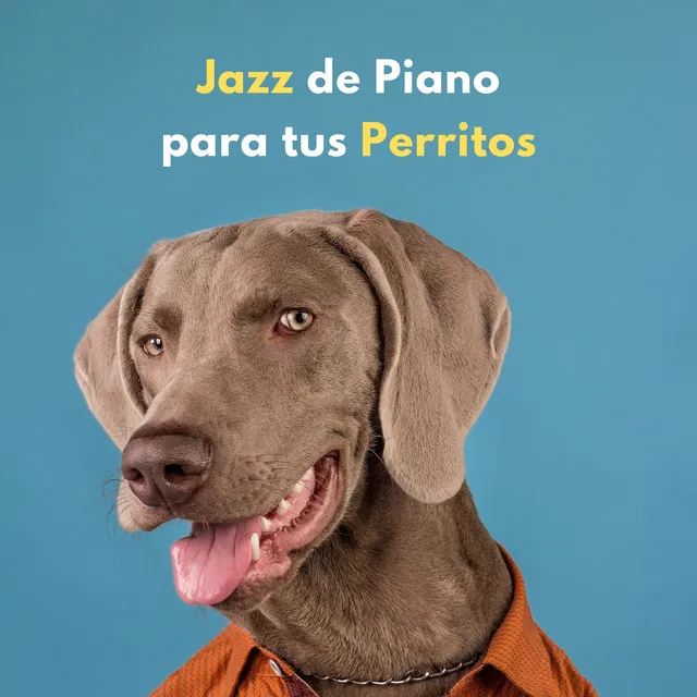 Jazz De Piano Para Tus Perritos