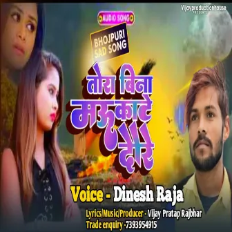 Tohara Vina Mau Kate Dhave (Bhojpuri song) by 