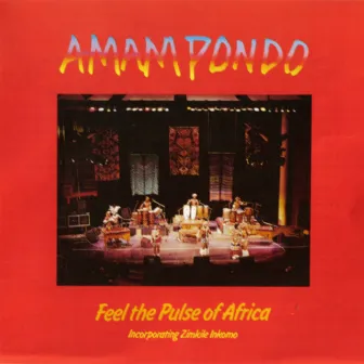 Feel the Pulse of Africa (Live) by Amampondo