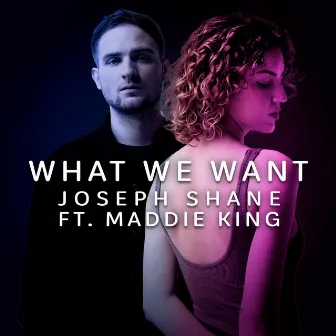 What We Want by Joseph Shane