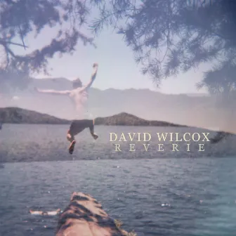 Reverie by David Wilcox