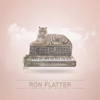 Muscle of Synths by Ron Flatter