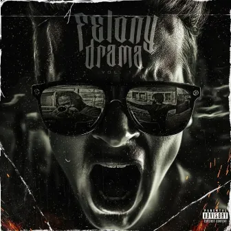 Felony Drama, Vol. 1 by Unknown Artist