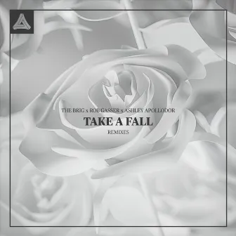 Take A Fall (Remixes) by Ashley Apollodor