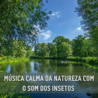 Música Calma Da Natureza Com O Som Dos Insetos by Suave Música para Dormir