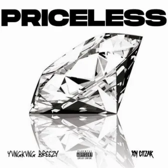 Priceless by XN Ciizar