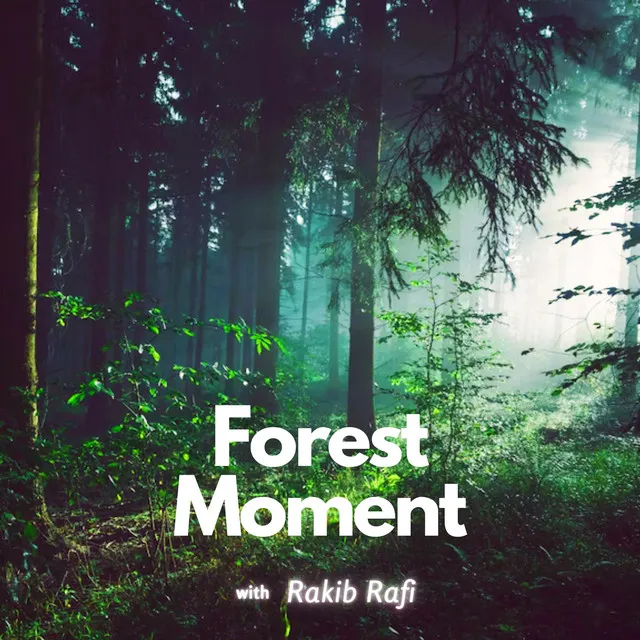 Forest Moment