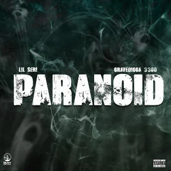 Paranoid by Lil Seri