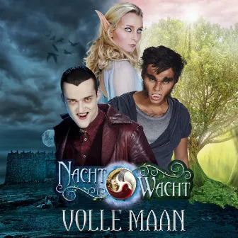 Volle maan by Nachtwacht