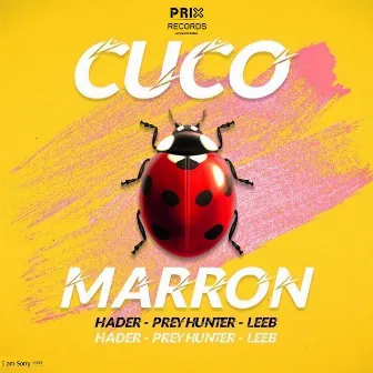 Cuco Marron by Hader