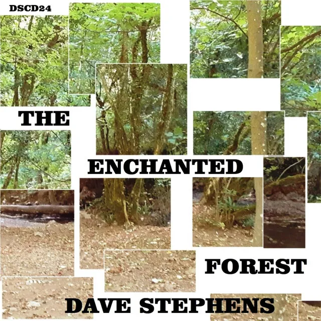 The Enchanted Forrest