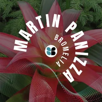 Bromelia by MARTIN PANIZZA