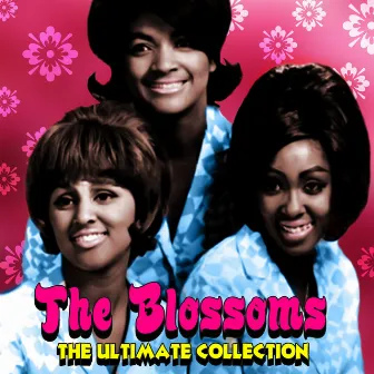 The Ultimate Collection by The Blossoms