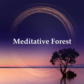 Meditative Forest by Rainforest Meditations