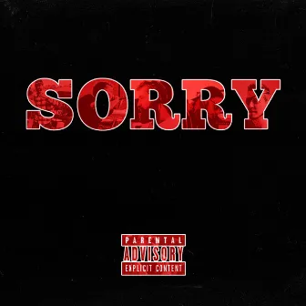 Sorry by Enggy