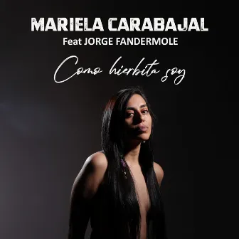 Como Hierbita Soy by Mariela Carabajal