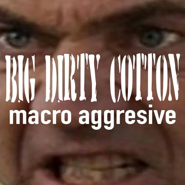 Macro Aggressive