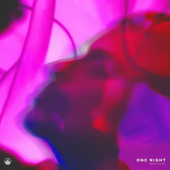 One Night by Tokyonite