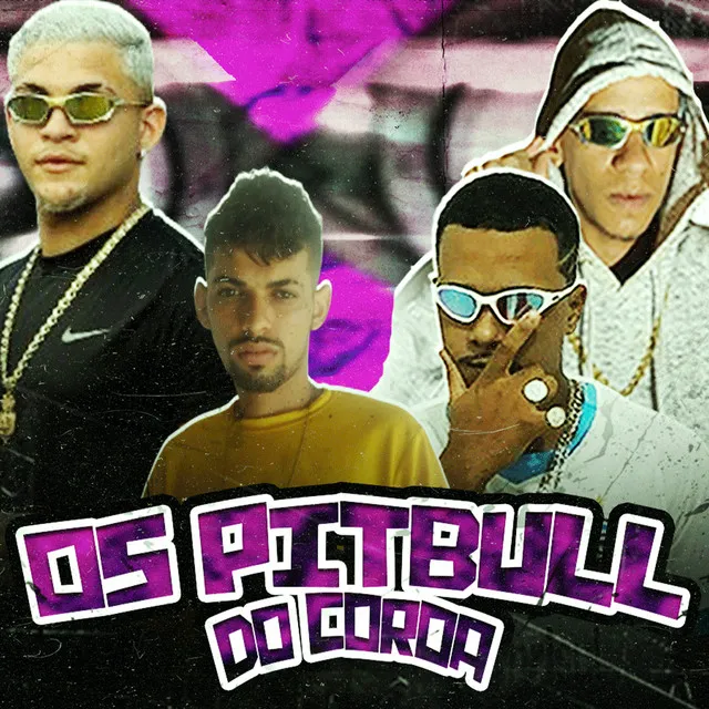 Os Pitbull do Coroa