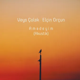 Amadeyim (Akustik) by Veys Colak