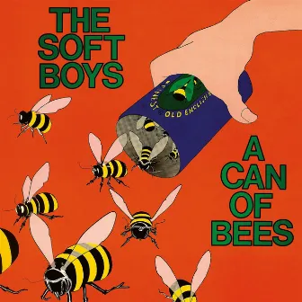 A Can of Bees by The Soft Boys