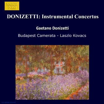 Donizetti: Instrumental Concertos by Camerata De Budapest