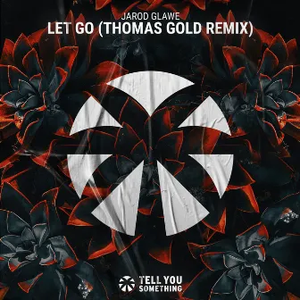 Let Go (Thomas Gold Remix) by Jarod Glawe