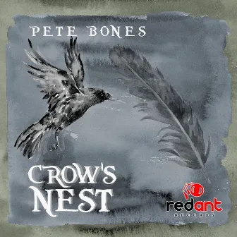 Crow's Nest by Pete Bones