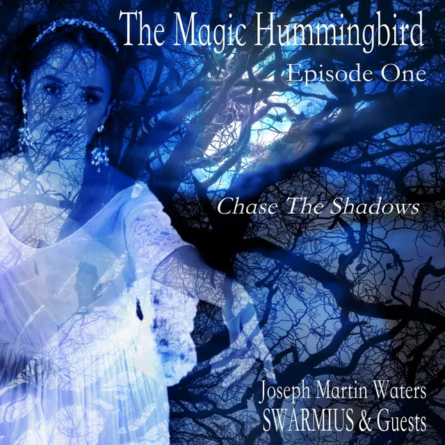 The Magic Hummingbird, Episode 1: Chase the Shadows