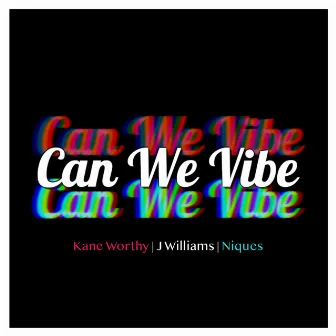 Can We Vibe by Niques