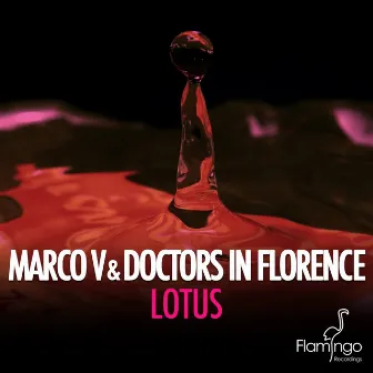 Lotus by Doctors In Florence