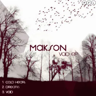 Void EP by Makson