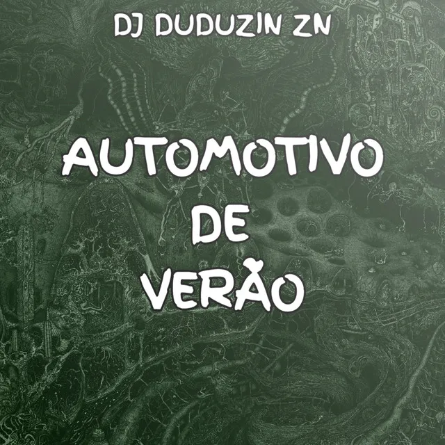 AUTOMOTIVO DE VERÃO