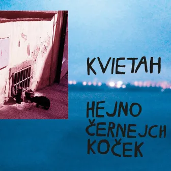 Hejno černejch koček by Kvietah