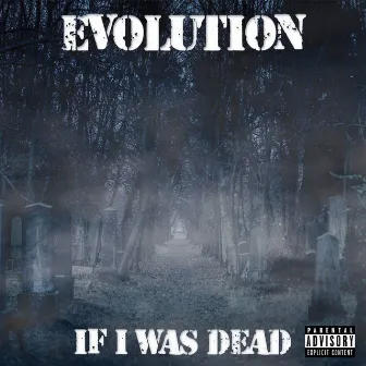 If I Was Dead by Evolution