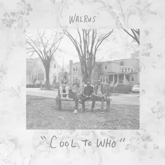 Cool to Who by Walrus