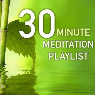 30 Minute Meditation Playlist - Peaceful Sounds of Nature for Meditating Sessions in the Morning and Evening by Morning Meditation Music Academy