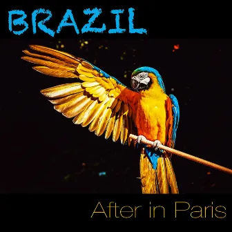 Brazil by After In Paris