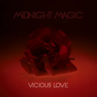 Vicious Love by Midnight Magic