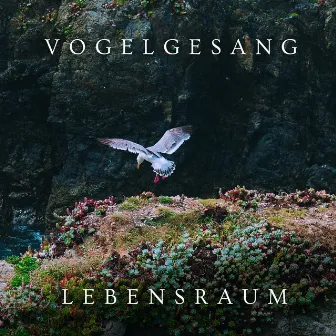 Vogelgesang Lebensraum by Unknown Artist