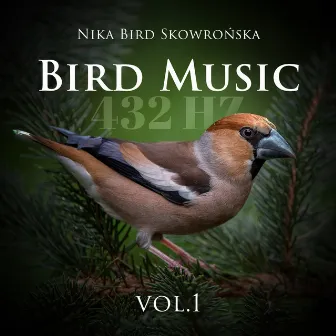 Bird Music 432 Hz Vol. 1 by Nika Bird Skowrońska