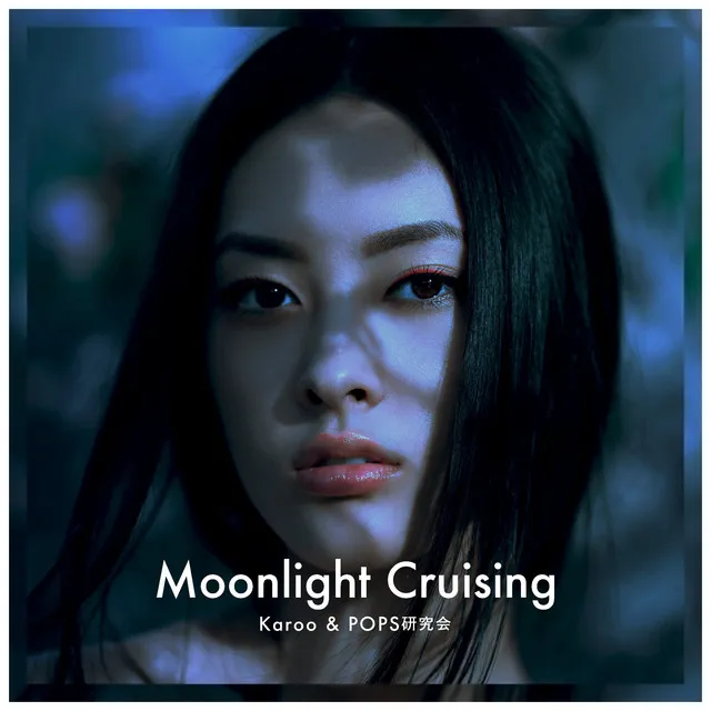 Moonlight Cruising